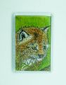 Lynx Cub Original Pen & Pencil Fridge Magnet from Alison Perkins (70 x 45mm)