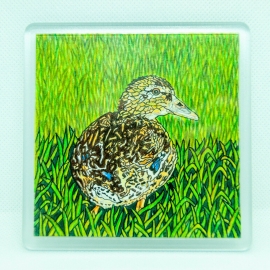 Mallard Duck Coaster Original Pen & Coloured Pencil by Alison Perkins 9 x 9cm