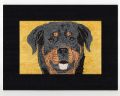 Original Artwork Rottweiler Dog Pen & Pencil Drawing 6 x 4 Inch Black Mount