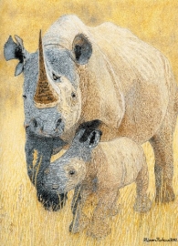 Rhino and Calf