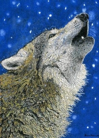 Wolf in Snow